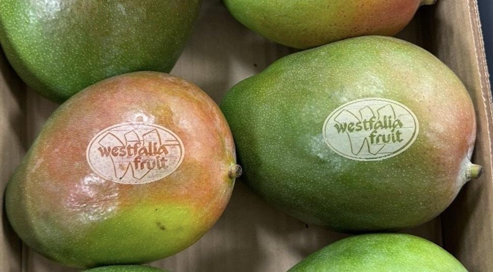 Westfalia Fruit Launches Eco-Friendly Laser-Etched Mangoes in Europe - News Directory 3