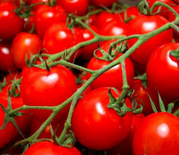 2022 Italian opening prices: a worrying surge - Tomato News