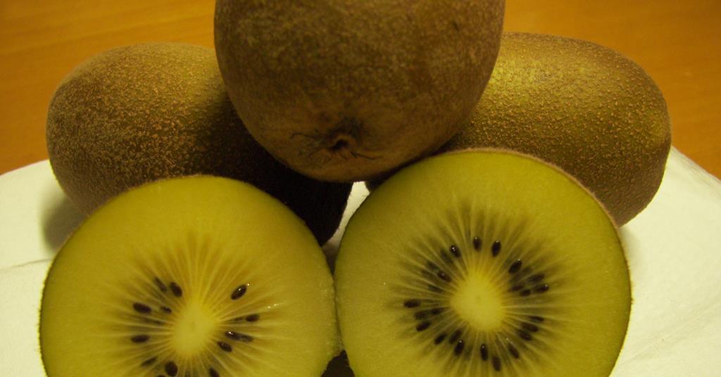 Italien 38 Konferenz Der International Kiwifruit Organization Findet