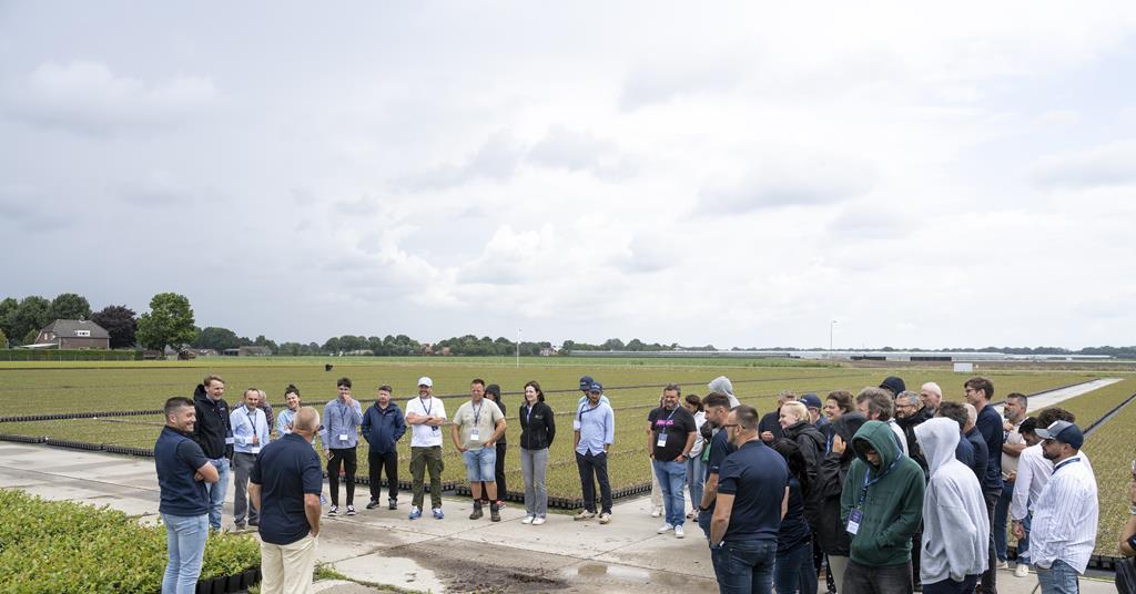 Blueberry Industry Unites to Boost Genetics and Sustainability