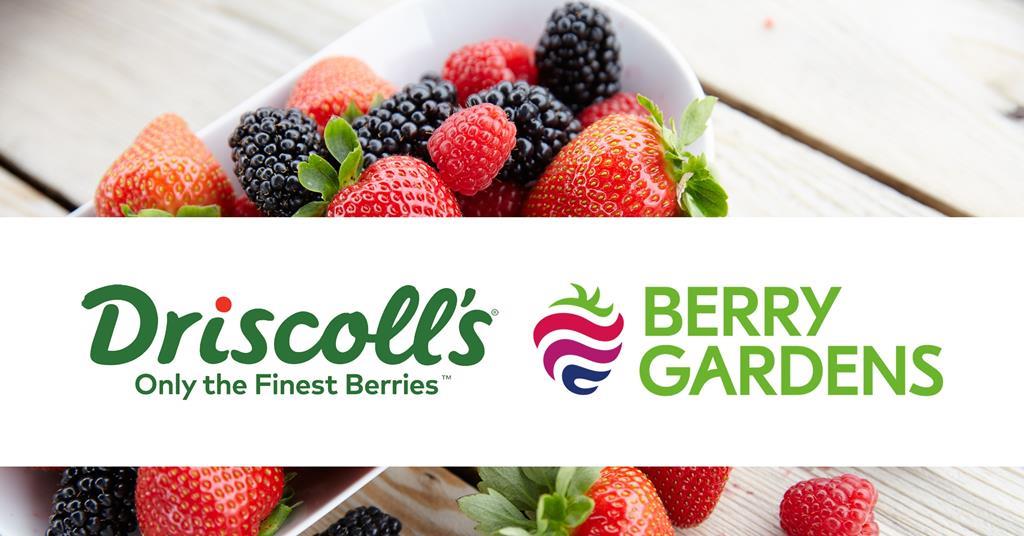 Driscoll’s agrees terms for acquisition of Berry Gardens Limited