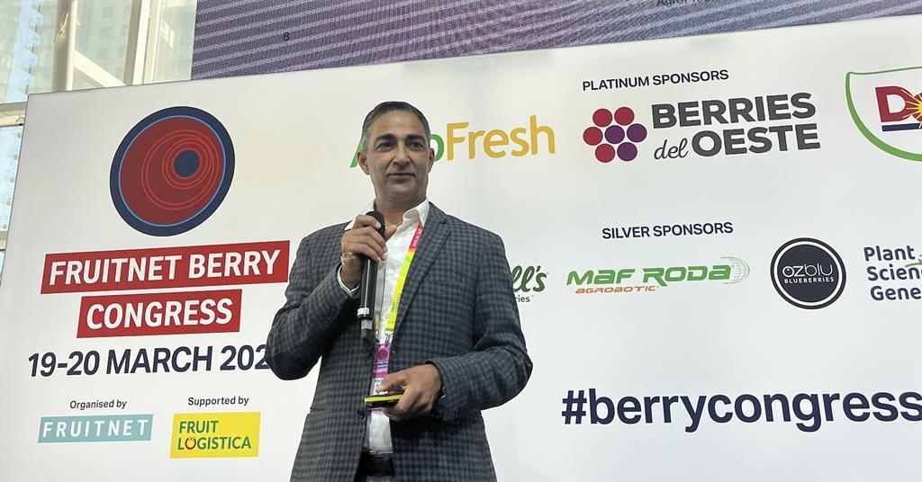 Finding the right technology in the berry business | Features | Fruitnet