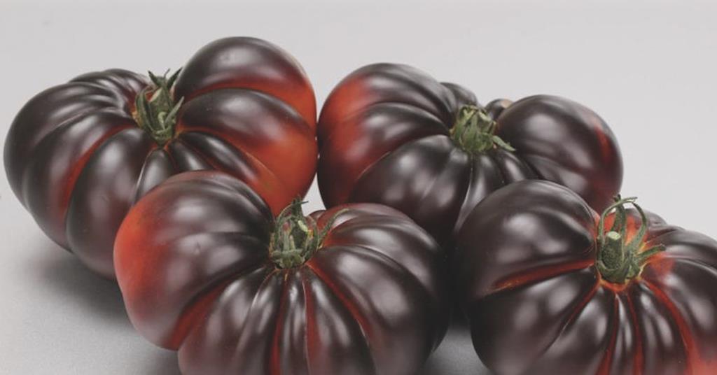 Yuksel’s Sweetloom tomato lands Superior Taste Award | News | Fruitnet