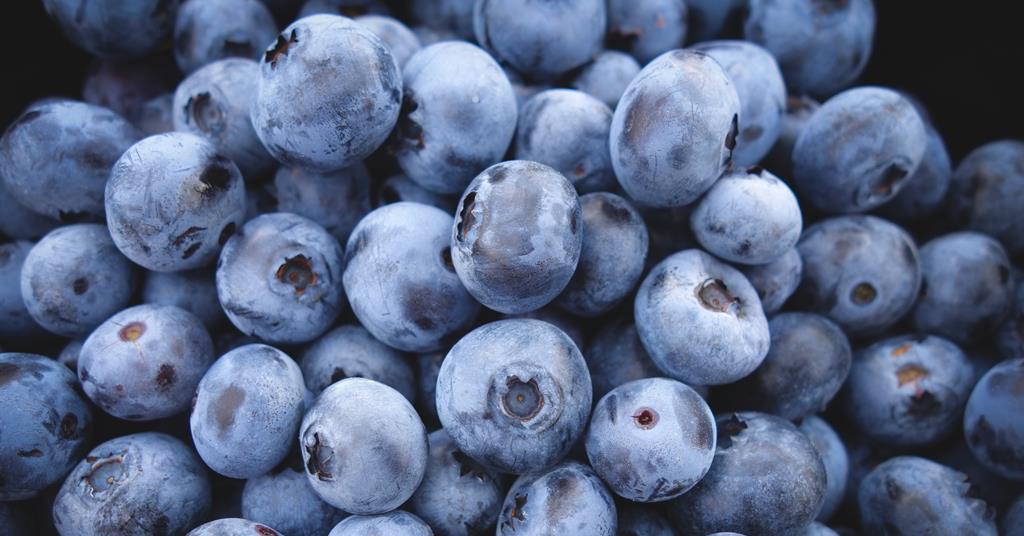 Chile to home in on Spanish blueberry market Article