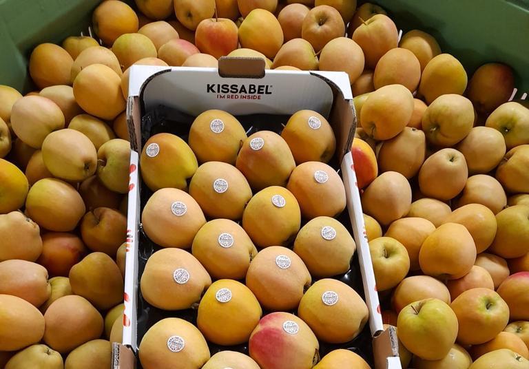 Kissabel returns with newseason campaigns across US and Europe News