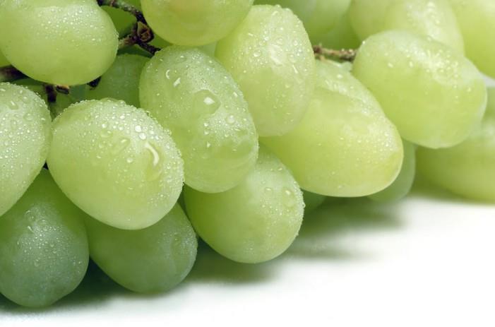 Grapes - Oppy