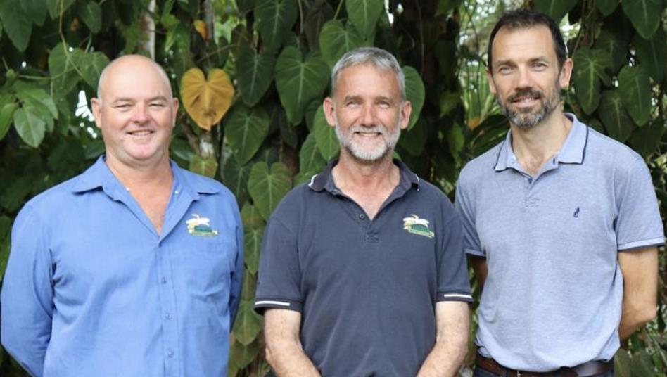 Australian Banana Growers’ Council names new chair Article
