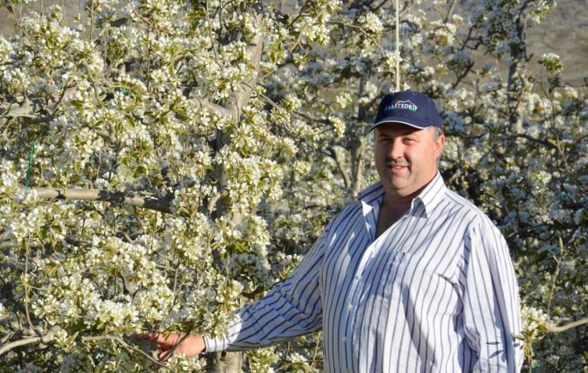 Ceres fruit growers bounce back Article
