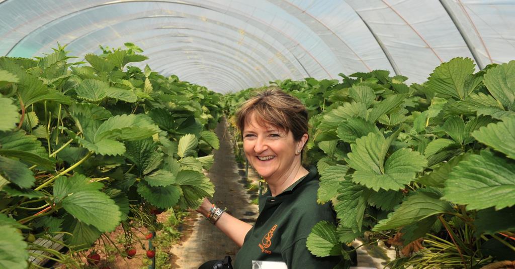 Interview Caroline Drummond's turning over a new LEAF Article