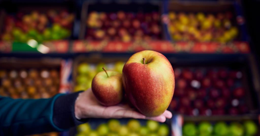 Morrisons sells supersize Braeburn Article