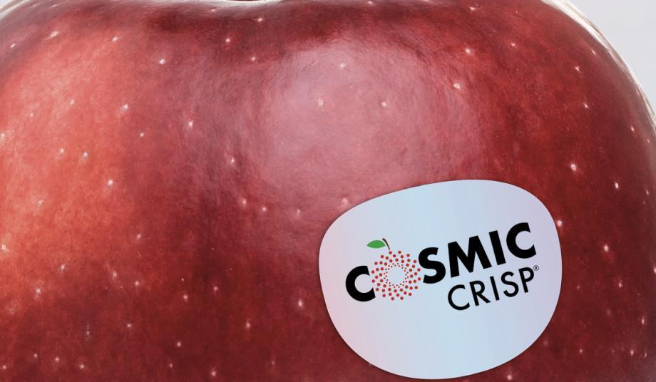 Organic Cosmic Crisp Apple