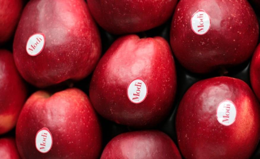 Modi apples get interactive in 2018 | Article | Fruitnet