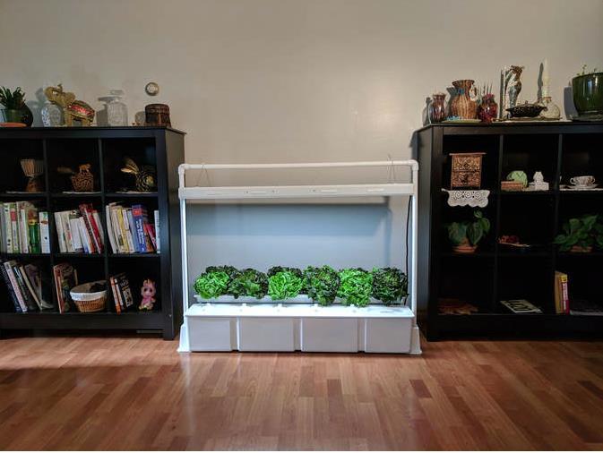 Start-up develops hydroponic garden for your living room | Article ...