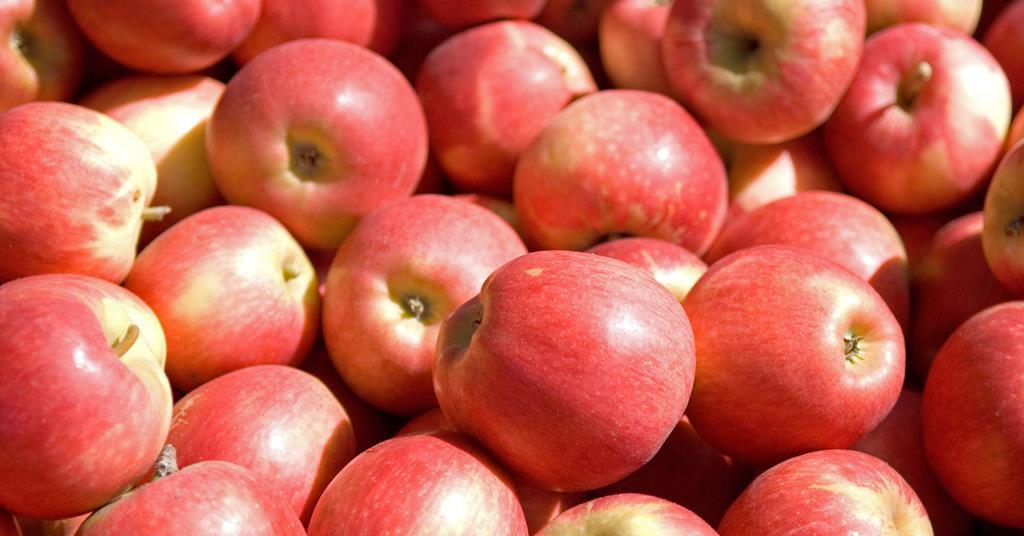 Freshmax sells NZ pipfruit business Article