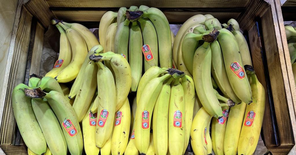 Climate change poses “enormous threat” to banana business Article