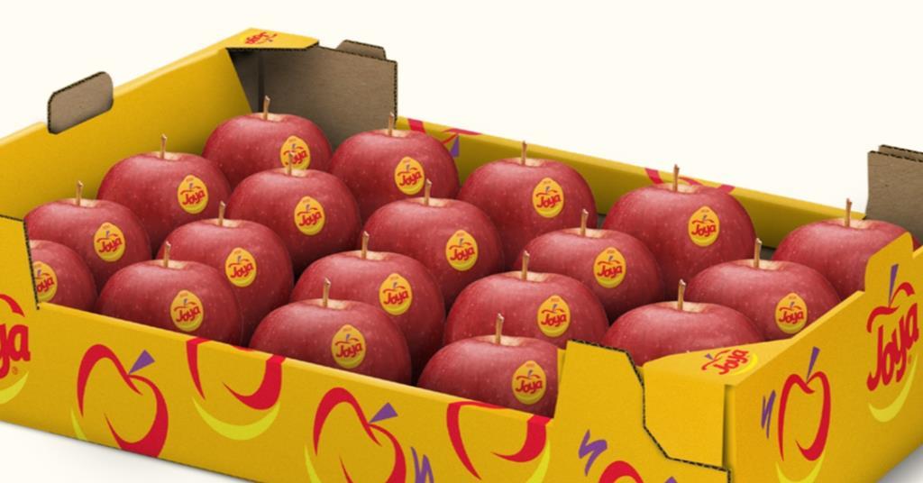 Joya Europe 2024/25 Growth & New Brand Design - News Directory 3