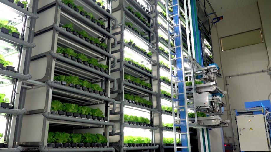 Spread lands vertical farming prize Article