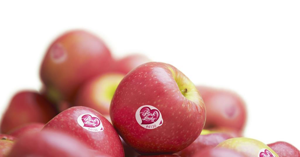 pink lady apple country origin - Arad Branding