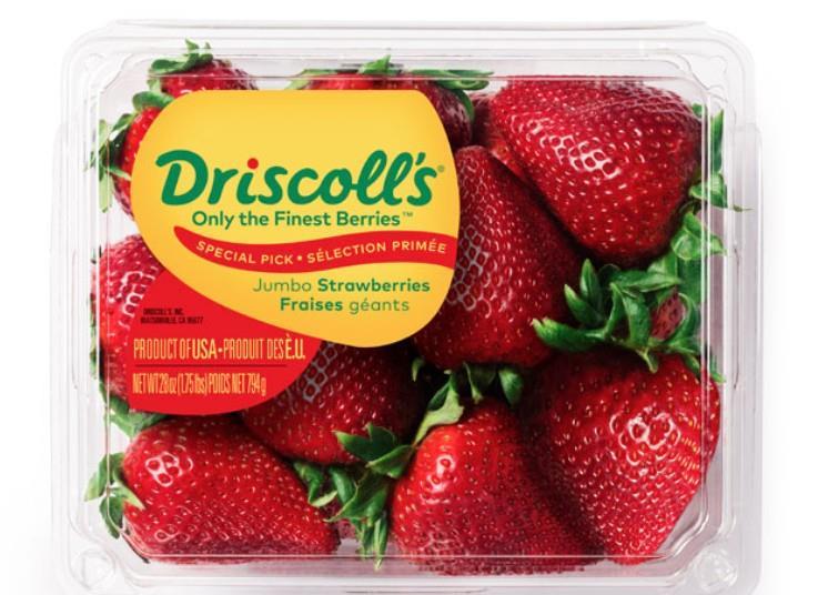 Driscoll's sues former UC Davis scientist Article