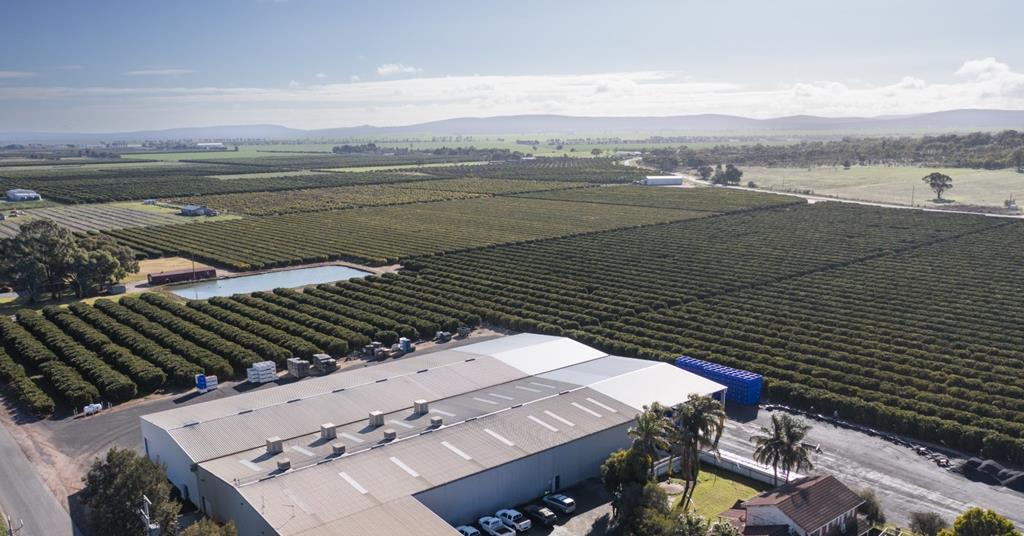 Naimo Citrus to sell off remaining assets | News | Fruitnet