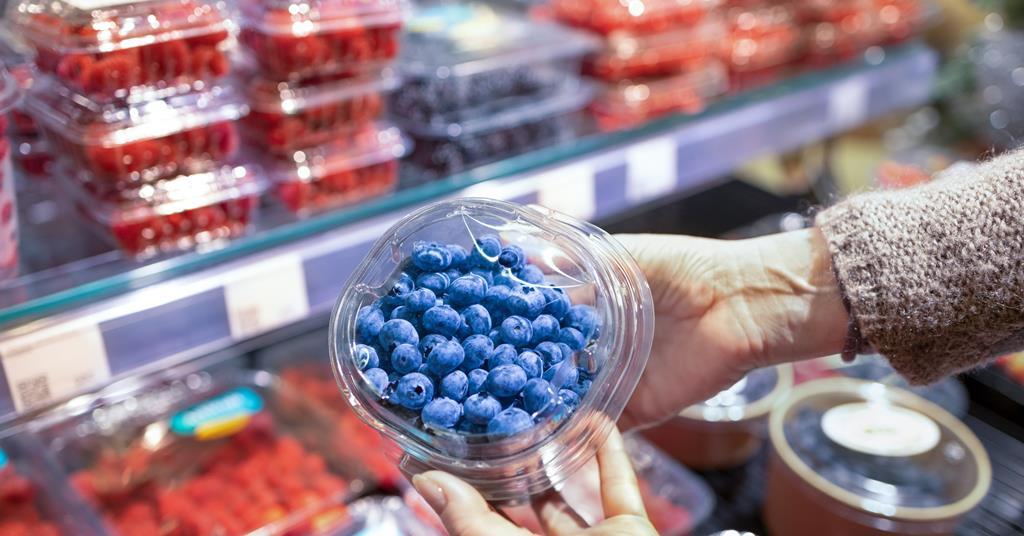 Rabobank offers positive outlook for blueberry business