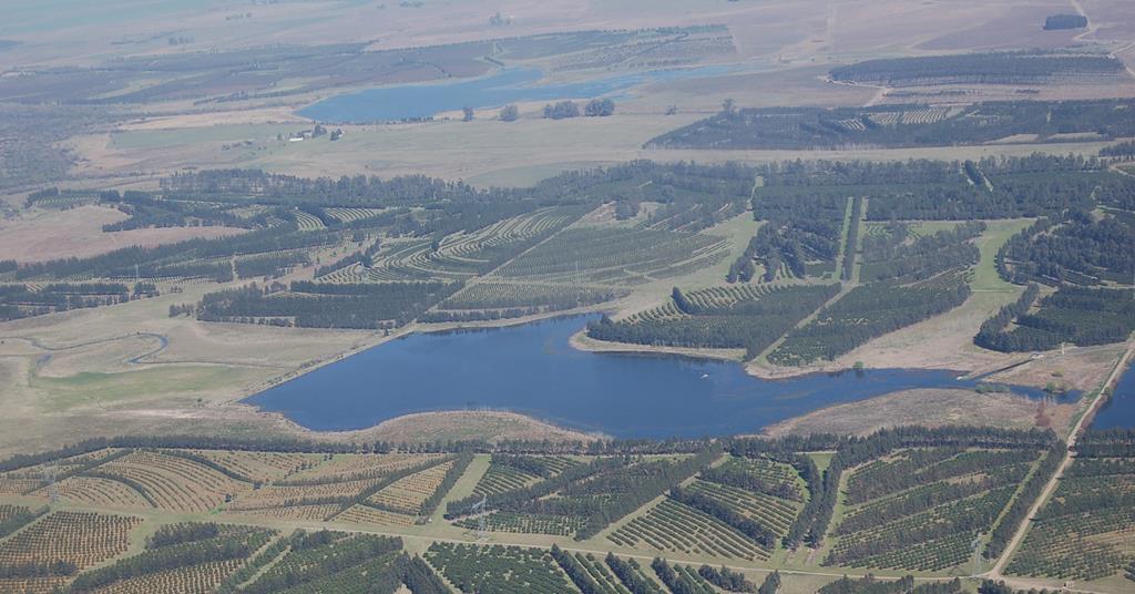 Vietnam says yes to Uruguayan mandarins Article