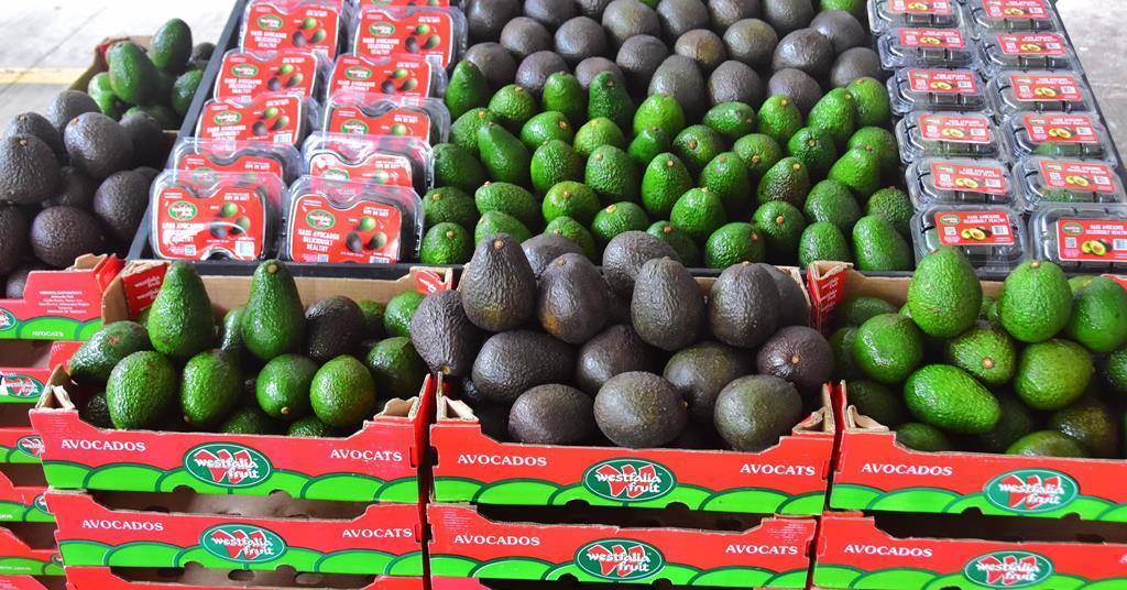 Westfalia pushes further into Asian avocado markets | Article | Fruitnet