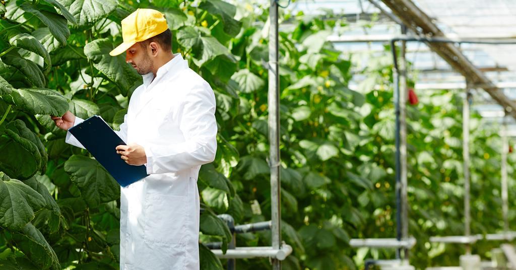 Unlock Your Future: The UK Food Industry's Call for Young Talent Amid Workforce Crisis