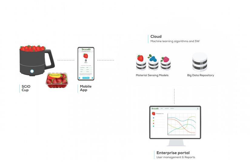 Driscoll's adopts sweetness tech solution Article