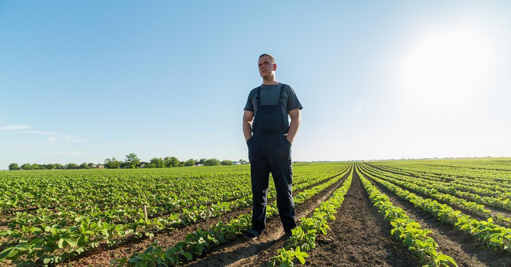 Take soil as seriously as air and water to protect food supply, MPs ...