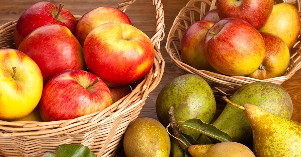 Netherlands expects larger apple and pear harvest in 2025