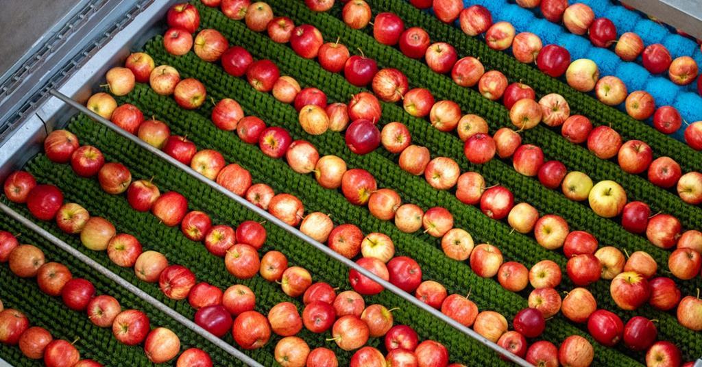 Benchmarking project to support Australian apple and pear grower ...