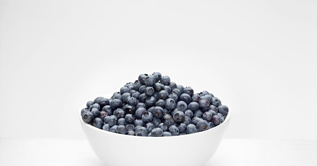 Blueberries boost workouts, study suggests Article