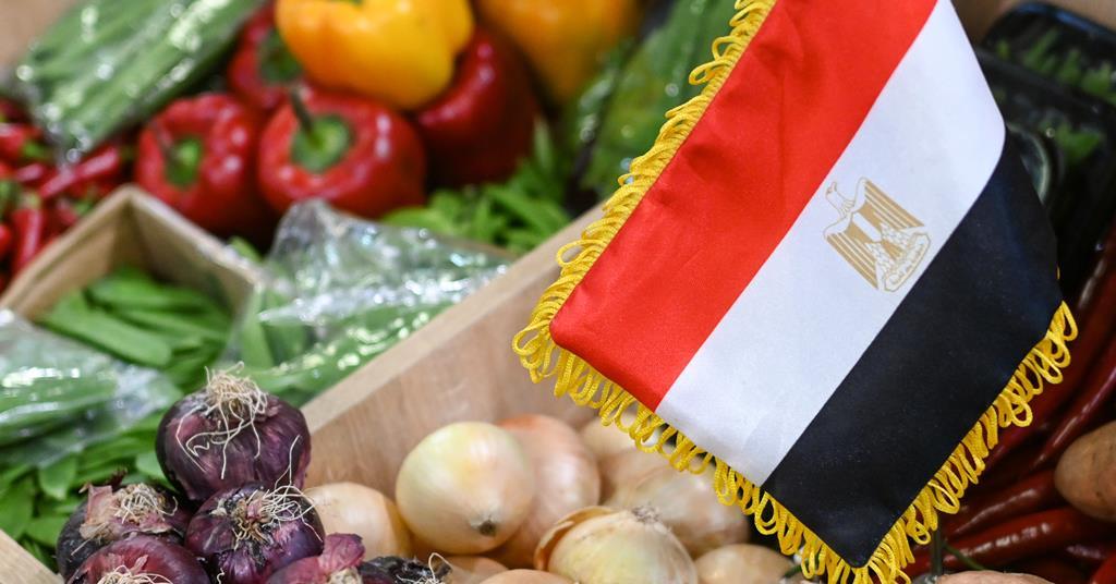 Egyptian onion exporters wait to resume exports