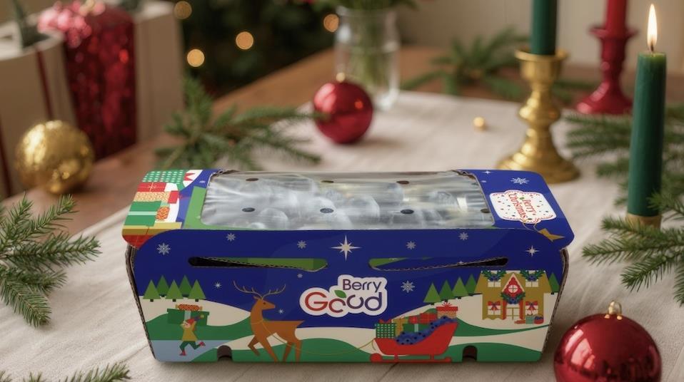 Hortifrut unveils Berry Christmas festive packs | News | Fruitnet