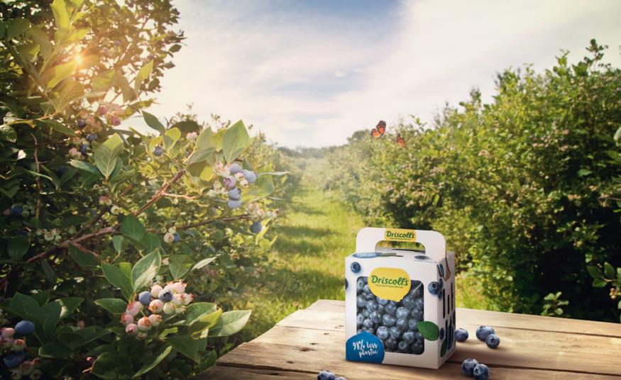 Driscoll's expands paper packaging range | Article | Fruitnet