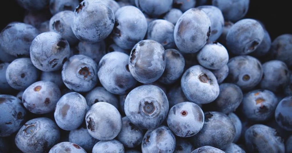 Spain's blueberry and raspberry exports up | Article | Fruitnet