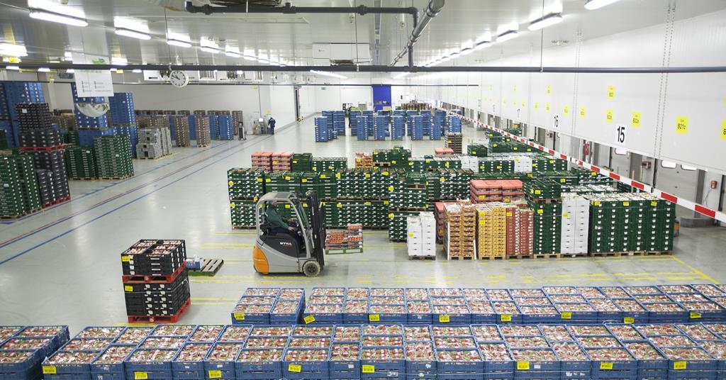 More job losses at The Greenery Article