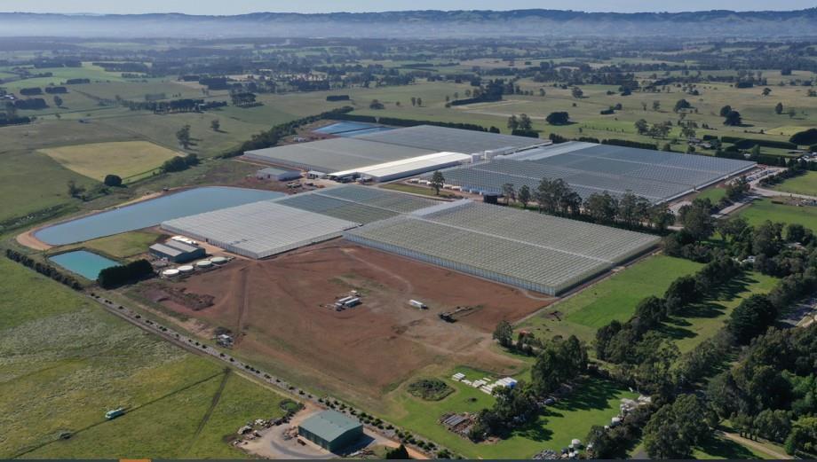 Flavorite consolidates for growth | Article | Fruitnet