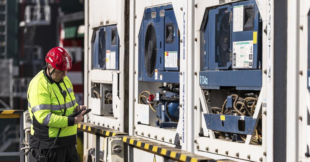 MSC ramps up Valencia to Canada service for the Spanish citrus season ...