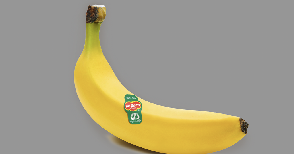 Fresh Del Monte Aims to Sell Fairtrade Certified Organic Bananas in the  U.S.