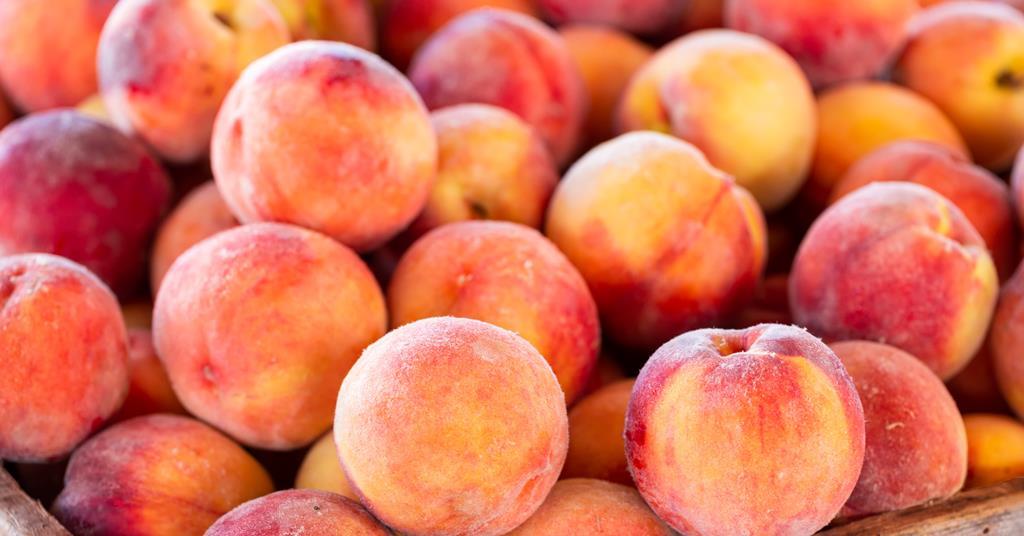 Premium Photo | Fresh organic nectarine fruit vertical background