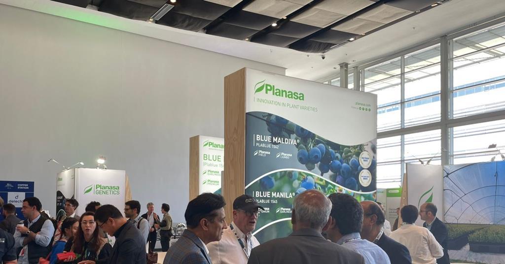 Peru selected to host the 2027 IBO Summit | News | Fruitnet