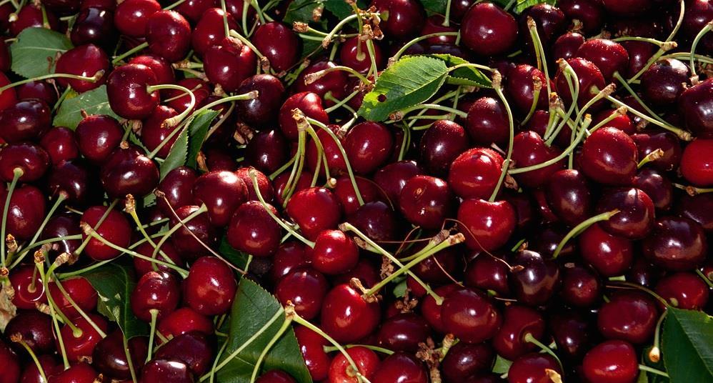 California cherry crop down Article