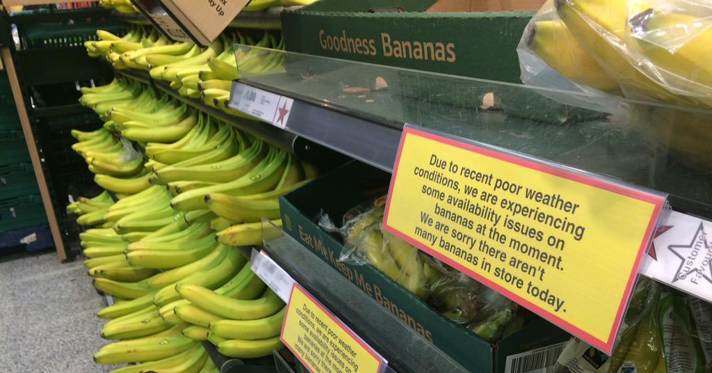 Tesco Stores Hit By Banana Shortages Article Fruitnet