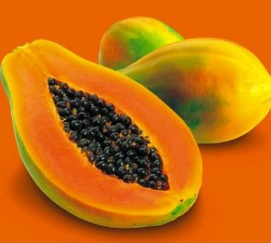 Japan to accept GM papaya | Article | Fruitnet