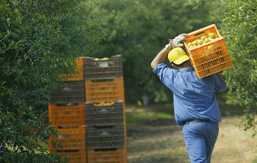 El fascinante mundo de las materias primas en español – Entendiendo el motor de la economía global