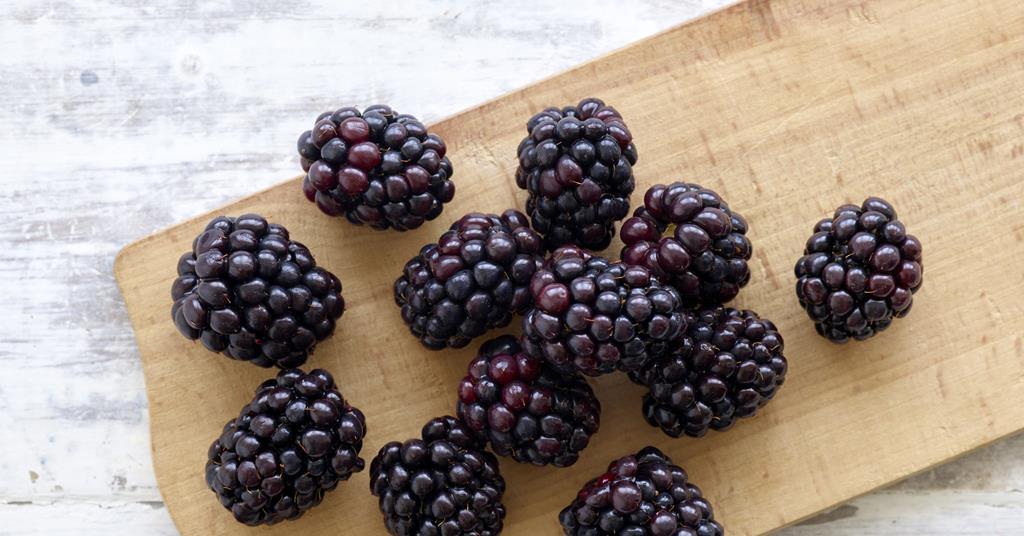 Blackberries 'could boost gut health' Article