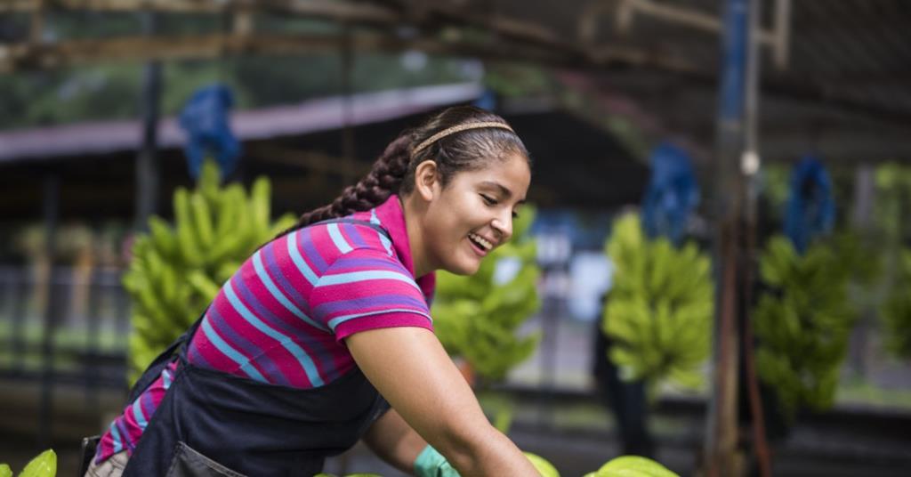 Fyffes Launches Gender Equality Programme In Honduras Article Fruitnet