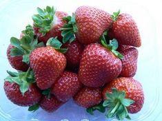 BerryWorld unveils two premium strawberries | Article | Fruitnet